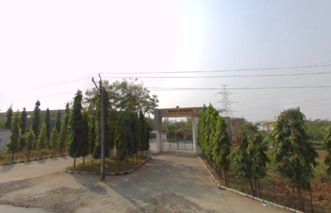 Dinod | The Surat Vankar Sahakari Sangh Ltd. | SEOK ID - NCDCA0340