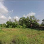 Ghuma | Green City | SEOK ID - PNBA0522