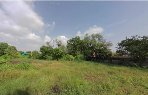 Ghuma | Green City | SEOK ID - PNBA0522