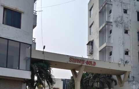 Gorwa | Shreeji Gold | SEOK ID - UBIA0538